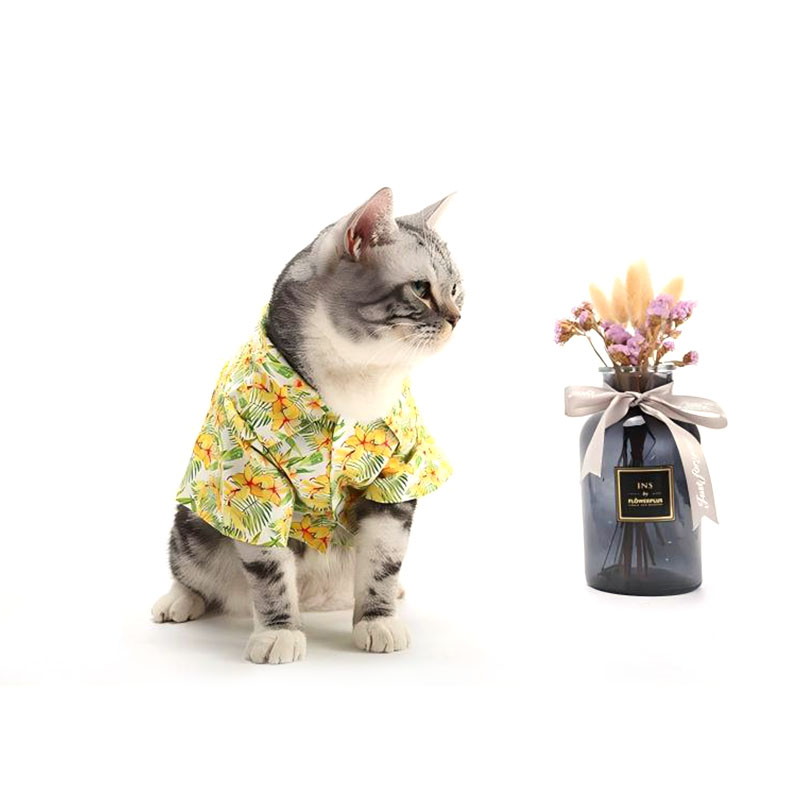 Gilet imprimé personnalisé pour chat, vêtements pour animaux de compagnie en peau de pêche